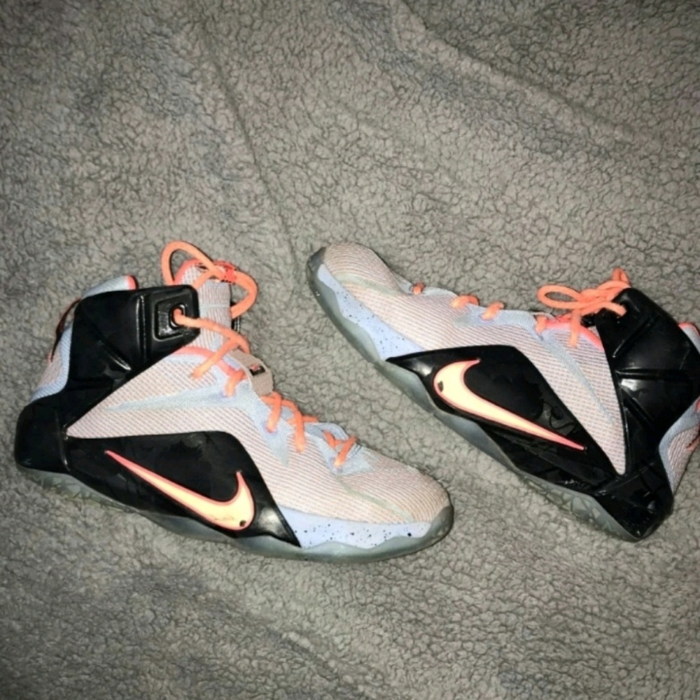 Lebron James Basketball Shoes